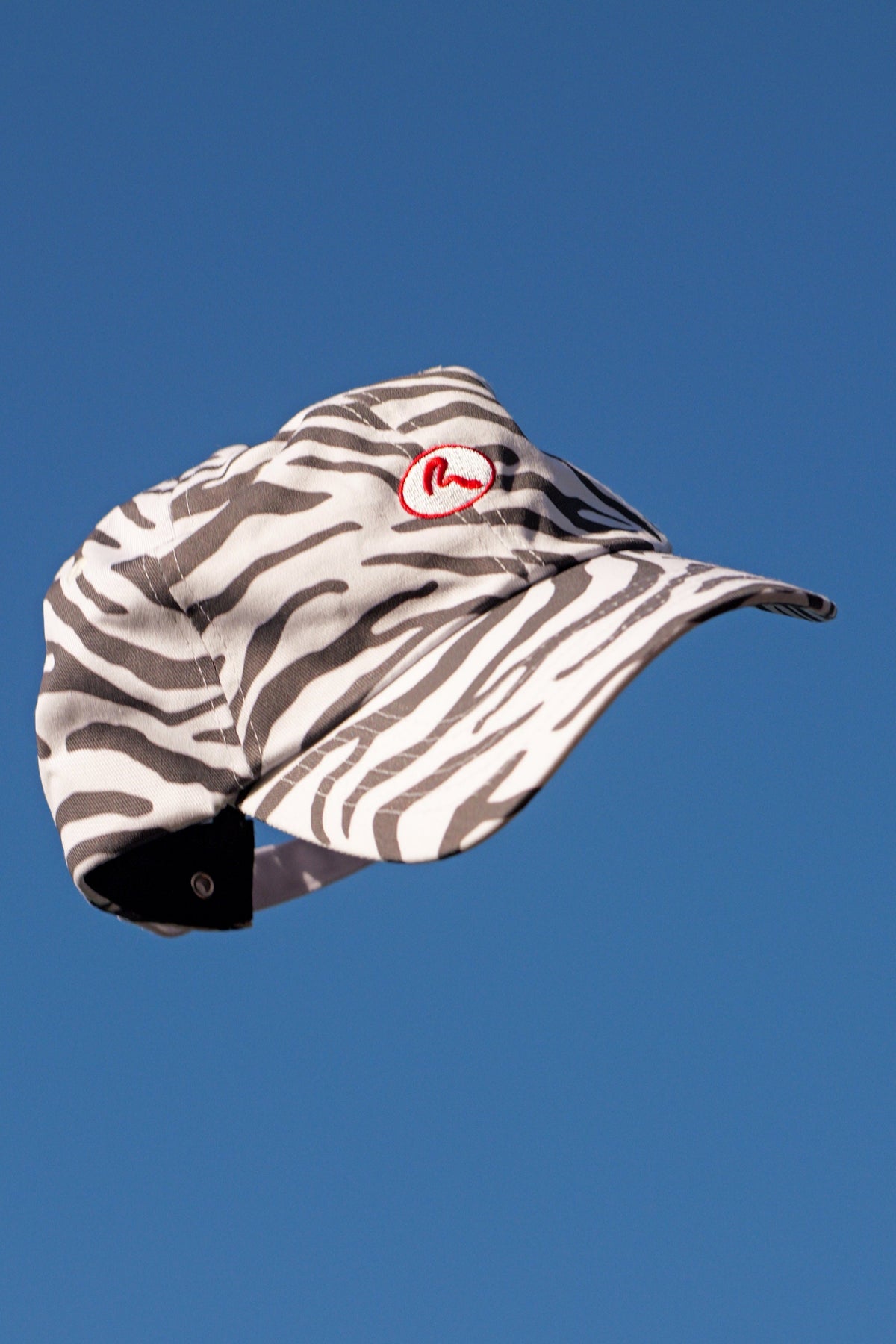 The Zebra Cap